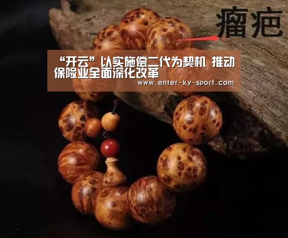“开云”以实施偿二代为契机 推动保险业全面深化改革