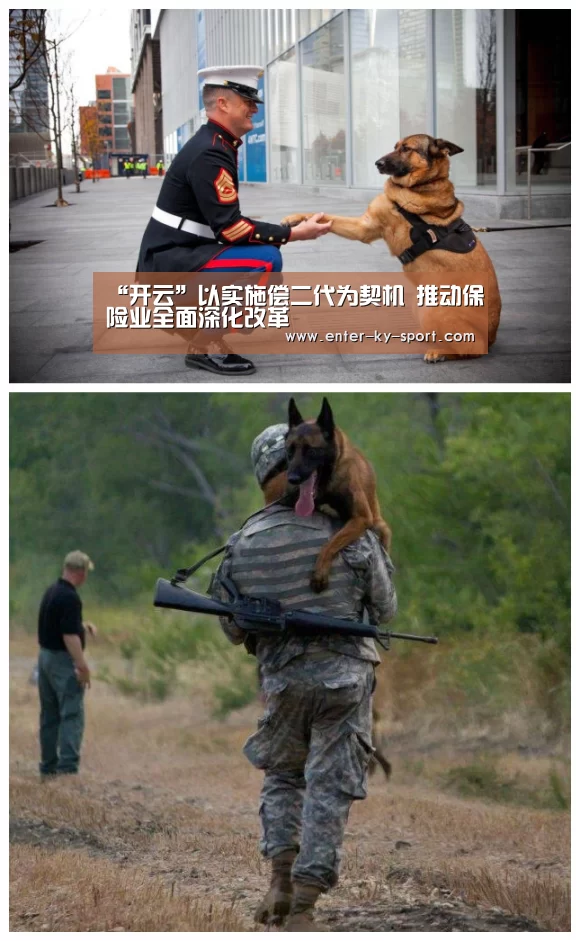 “开云”以实施偿二代为契机 推动保险业全面深化改革(图3) 开云体育
