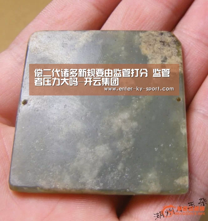 偿二代诸多新规要由监管打分 监管者压力大吗-开云集团(图3) 偿二代诸多新规要由监管打分 监管者压力大吗-开云集团(图3)